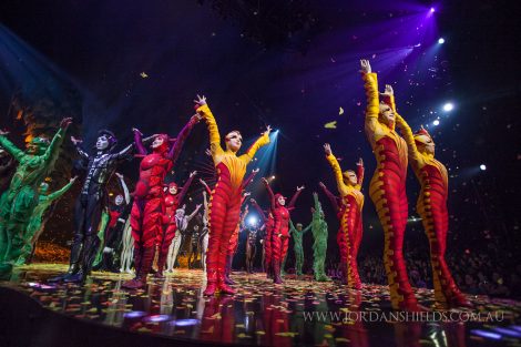 Performers from Cirque Du Soliel's Ovo salute the crowd after their show in Perth, Western Australia.